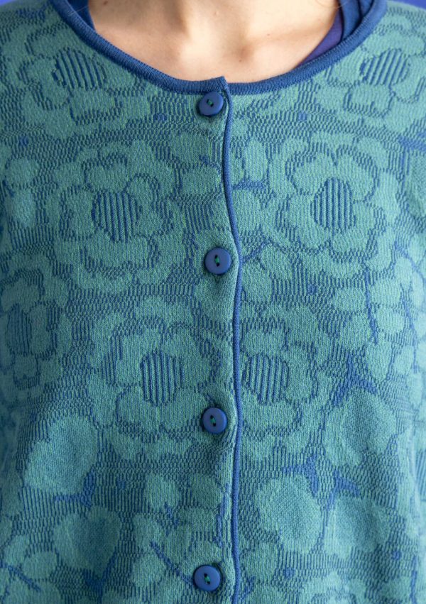 Vitaminv.shopedfc9e3b34 3